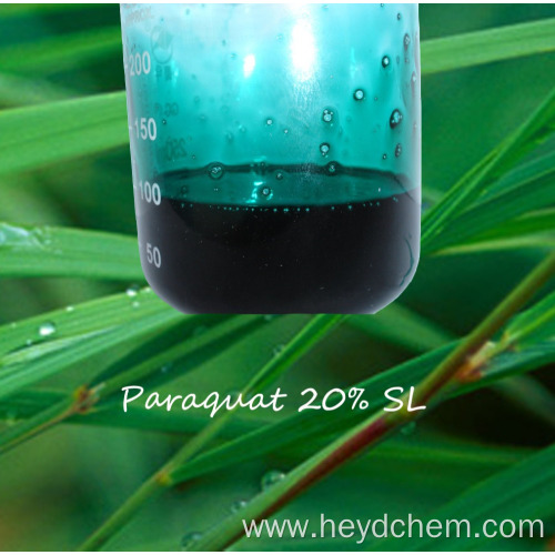 The best price of Paraquat 42%Tech